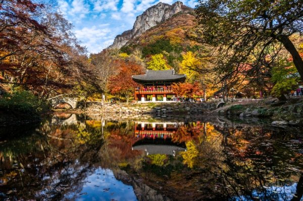 wilderness,season,autumn,park,reflection,