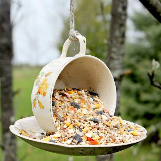 Bird Feeder