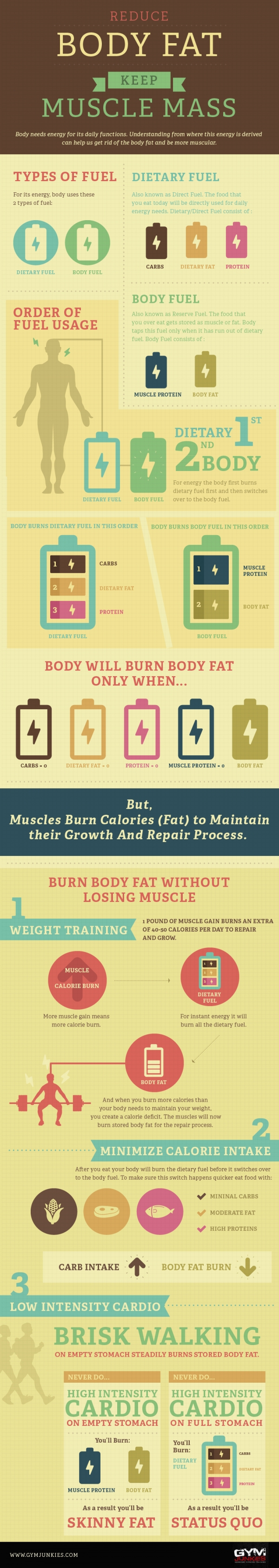 Reduce Your Body Fat and Keep Muscle Mass