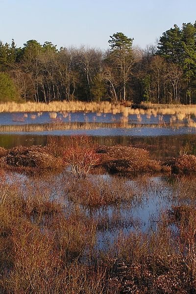 New Jersey – New Jersey Pinelands National Park