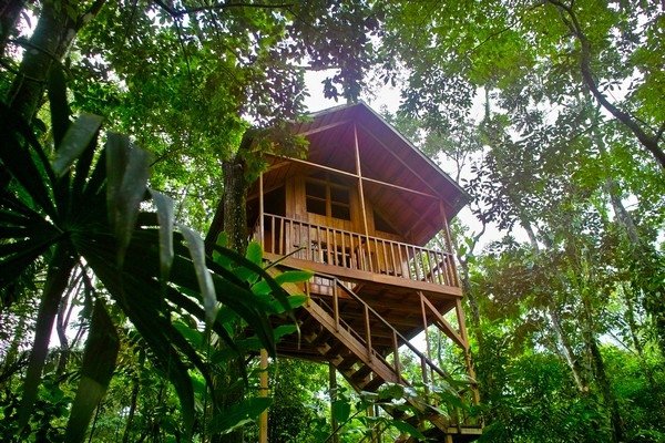 Treehouse