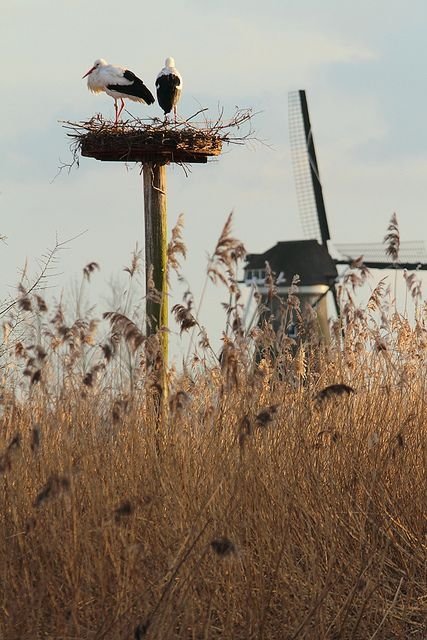 Haastrecht, the Netherlands