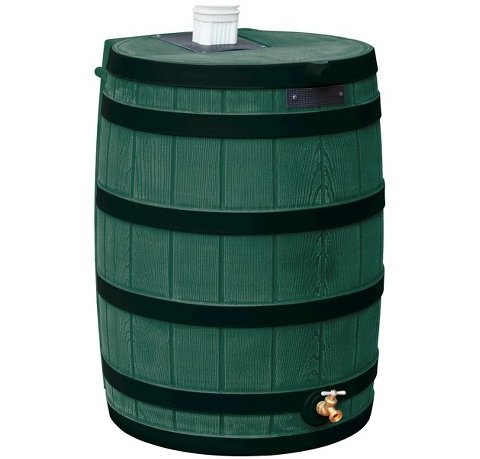 Rain Barrel