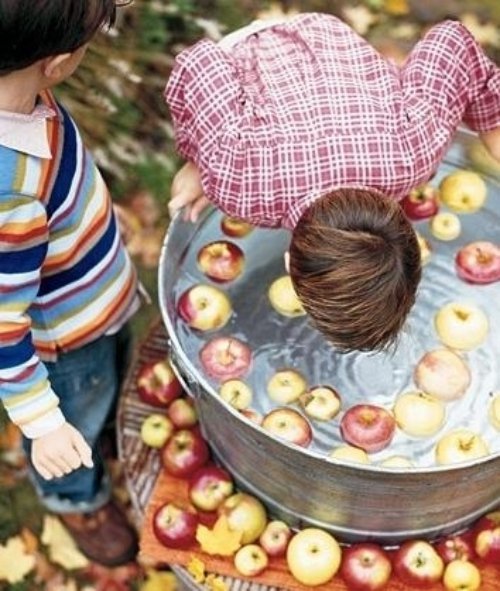 Attend a Harvest Festival