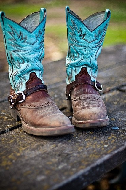 36 Pairs of Cowboy Boots to Wake up Your Country Side