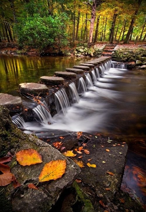 habitat,waterfall,nature,body of water,wilderness,