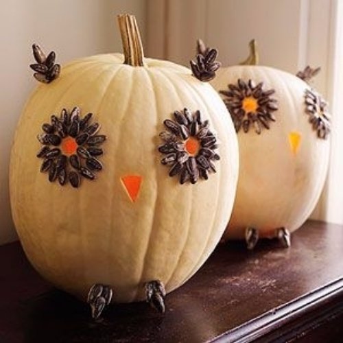 pumpkin,calabaza,carving,produce,cucurbita,