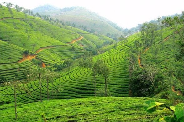 Clear Your Head at Idukki in Kerala