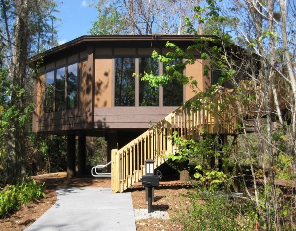 Treehouse Villas at Saratoga Springs Resort & Spa - Disneyworld, USA