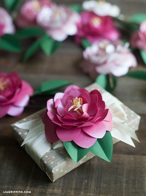 pink,flower,plant,flower bouquet,petal,