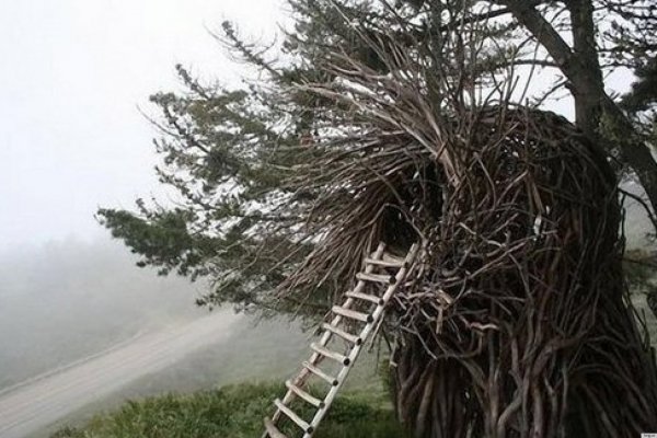 Sleep in the Human Nest in Big Sur, California