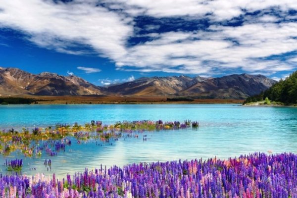 Commune with Mother Nature in Tekapo, New Zealand