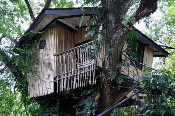 Pasonanca Park Treehouse - Mindanao, the Philippines