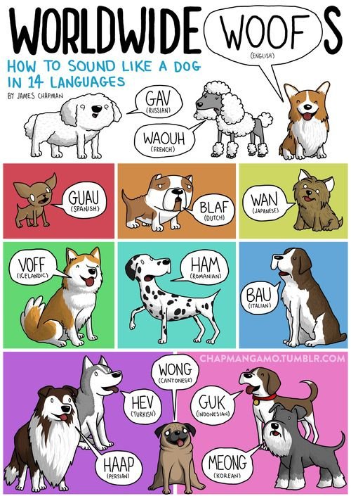 cartoon,font,WORLDWIDE,WOOFDS,LANGUAGES,