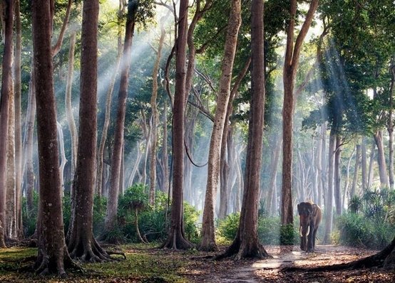 Trekking on Havelock Island