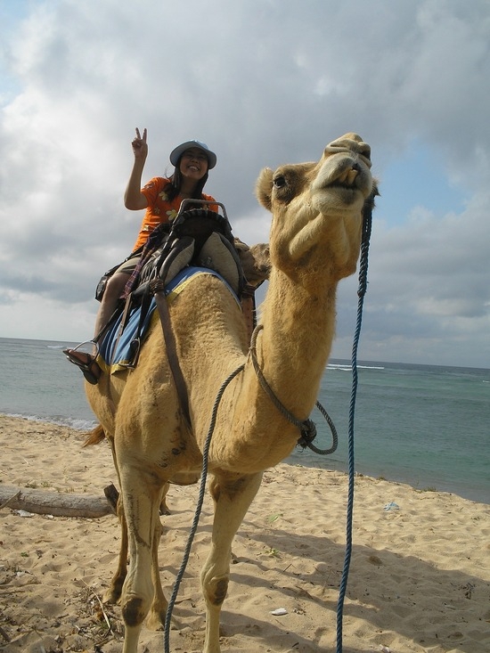 Ride a Camel or a Donkey