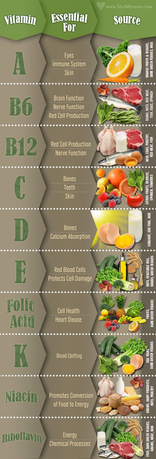 The Importance of Vitamins