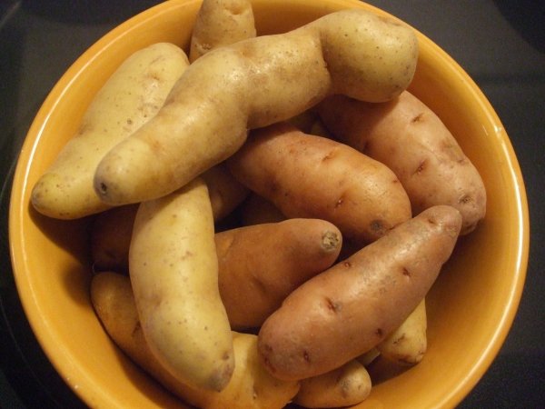 Fingerling Potatoes