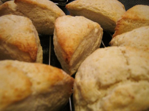 Plain Scones