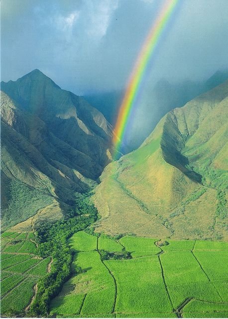 Rainbow over Paradise