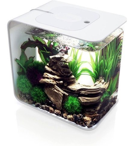 15L Flow Aquarium, White