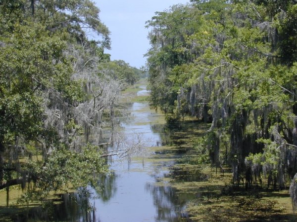 Barataria, Louisiana