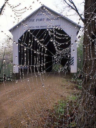 Cox Ford Bridge, Parke County, Indiana