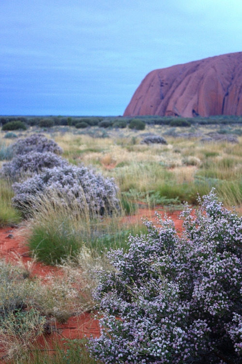 Australia