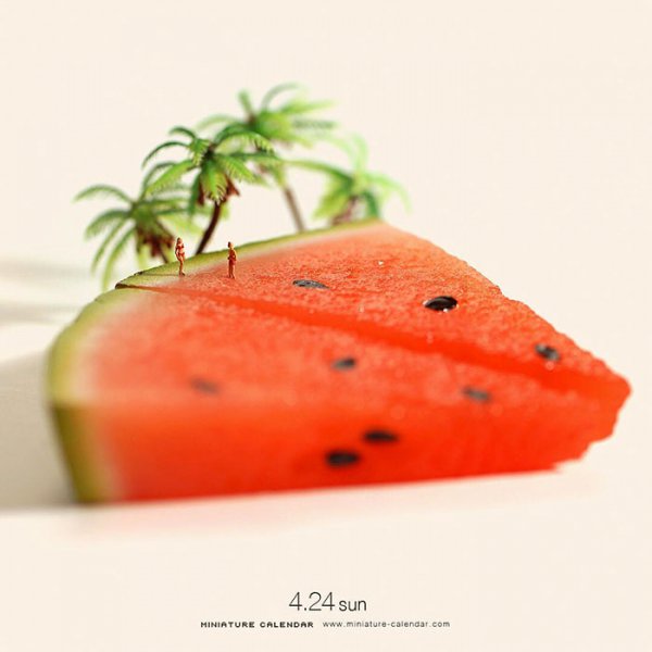 food, melon, watermelon, plant, produce,