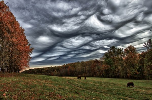 Jacques Cousteau Clouds