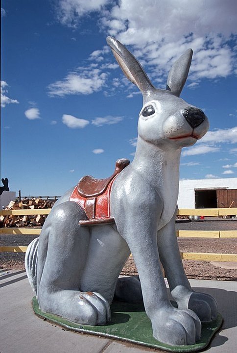 Jack Rabbit Trading Post, Joseph City, Arizona