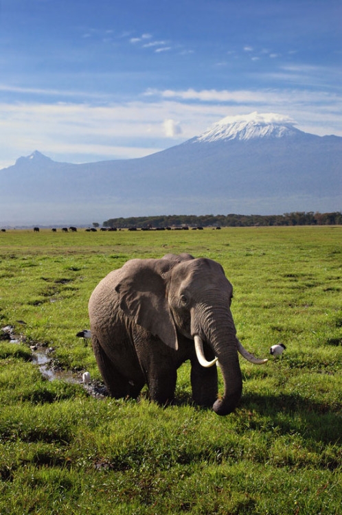 Climbing Mount Kilimanjaro, Africa