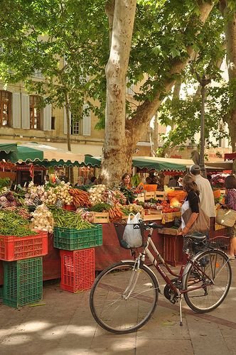 And Pick up the Produce You Need at the Market