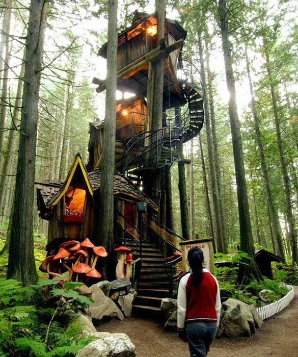 habitat,tree,forest,jungle,tree house,