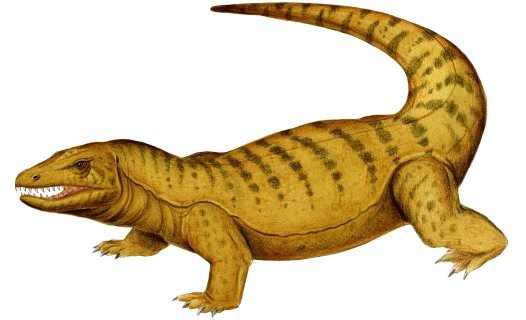 Megalania