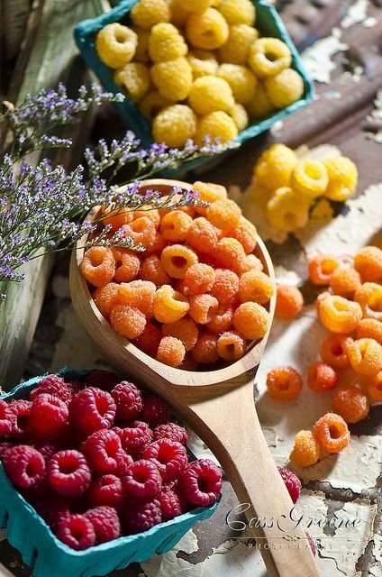 Lots of Raspberries