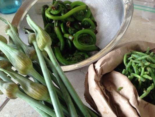 Foraging is Cool in Restaurants Too