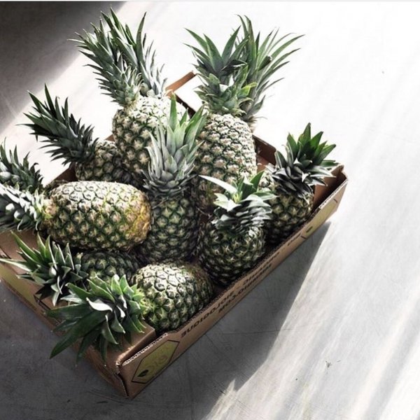 Pineapple, Ananas, Fruit, Plant, Houseplant,