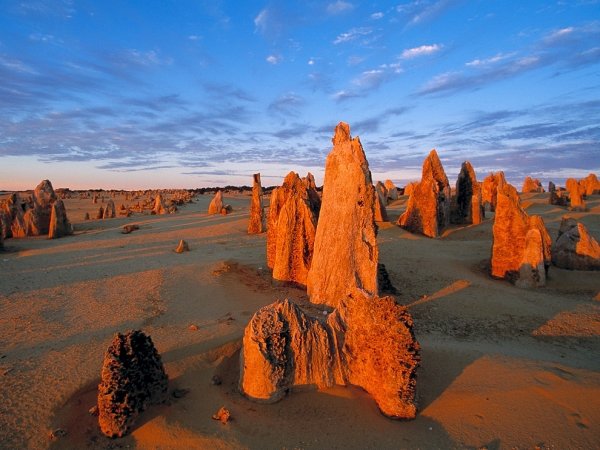 Peruse the Ancient Pinnacles