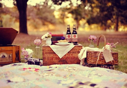 Picnics