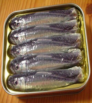 Sardines