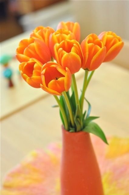 Orange Tulips