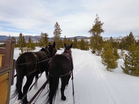 Two below Zero in Frisco, Colorado