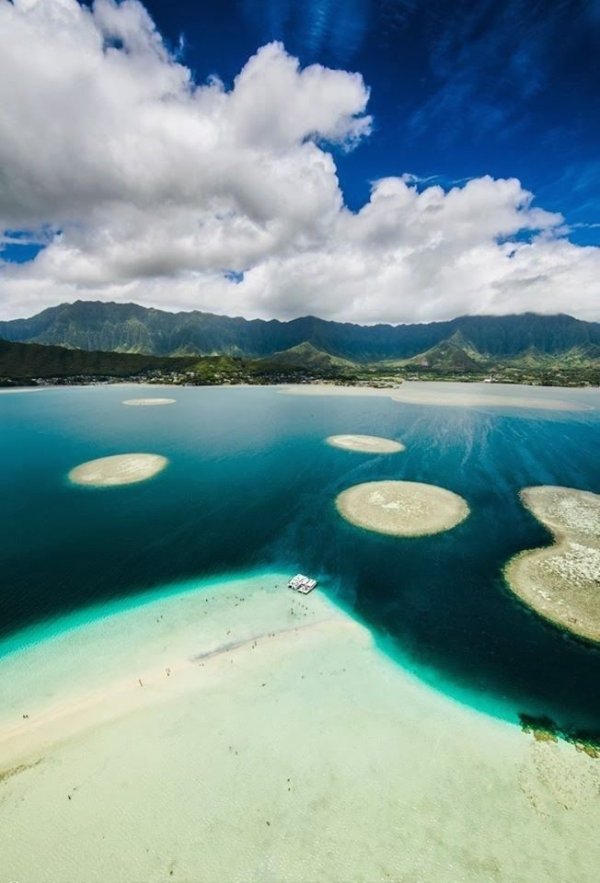 Kaneohe Oahu