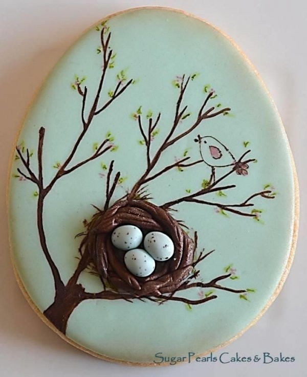 Bird Nest