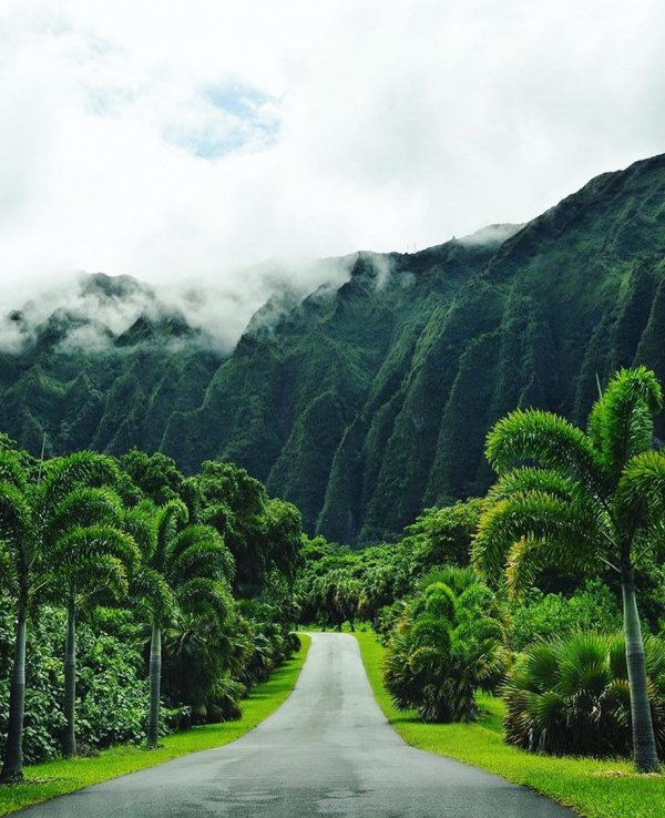 road, vegetation, green, nature, mountainous landforms,