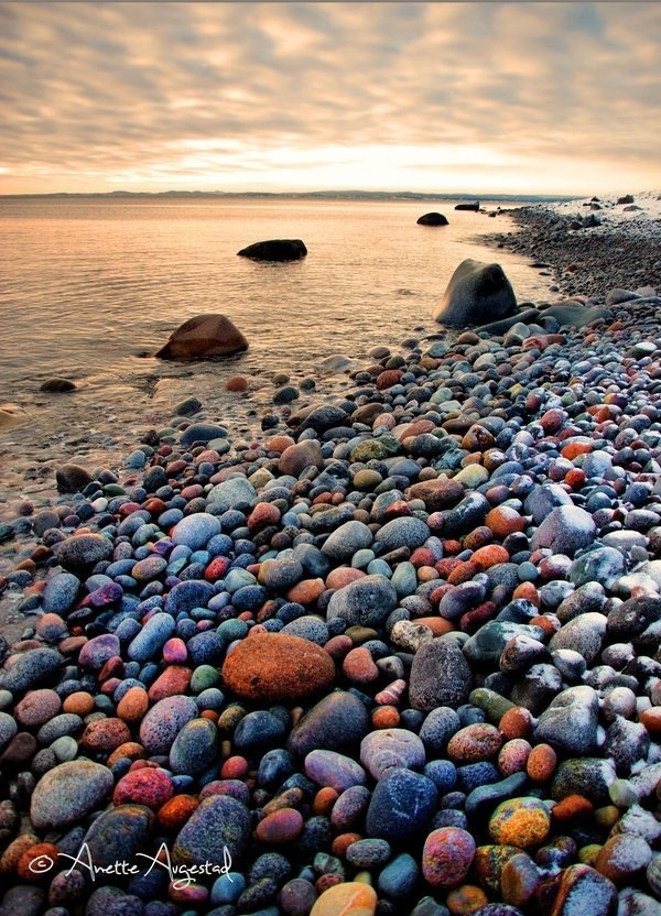 shore,sea,rock,coast,beach,