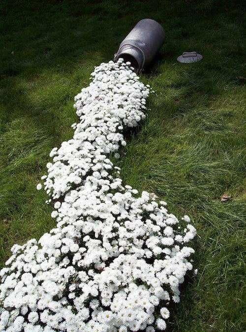 One Of The Cutest Ideas For Outdoor Flower Gardens Is To Make Your Flowers Look Like They Are Spilling From A Container Some Sort