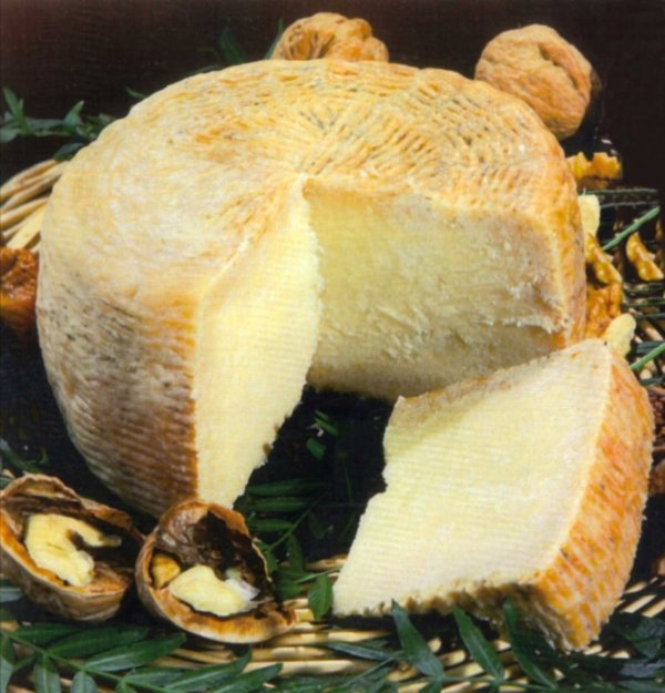 Italian Pecorino – Sheep’s Milk