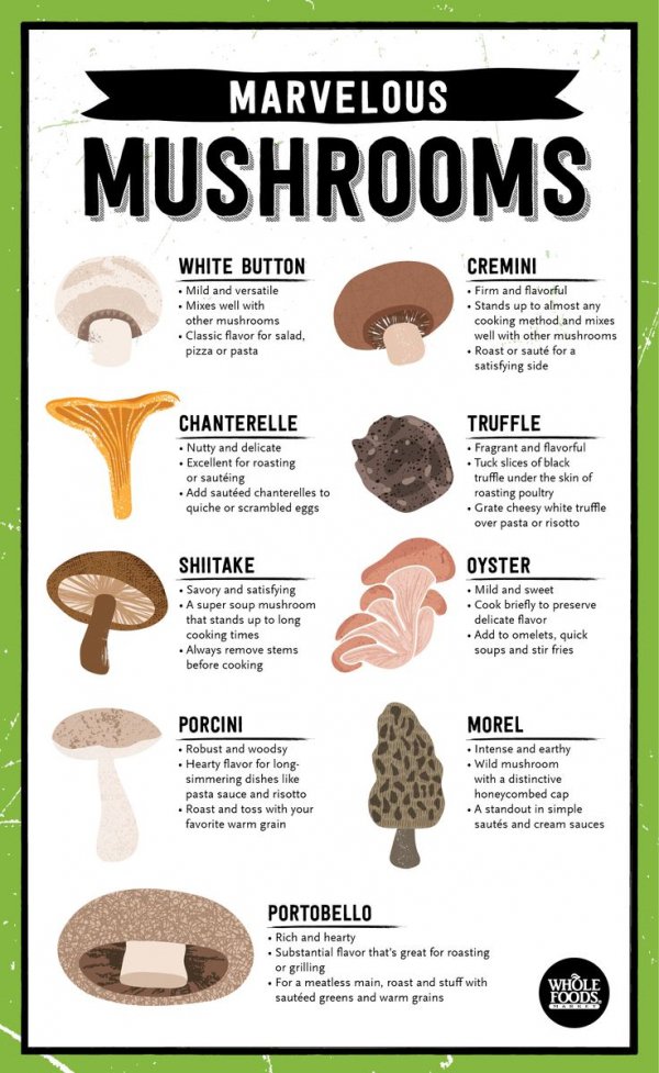 MARVELOUS,MUSHROOMS,WHITE,BUTTON,CREMINI,